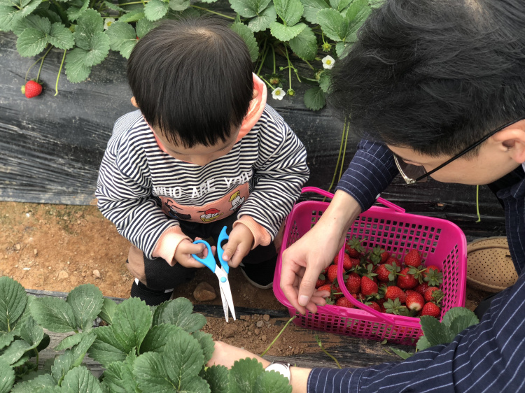 九龍生態園簡介